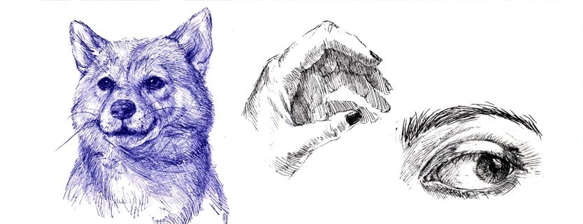 Zeichenworkshop HATCHING - Zeichnen mit Kugelschreiber
